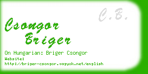 csongor briger business card